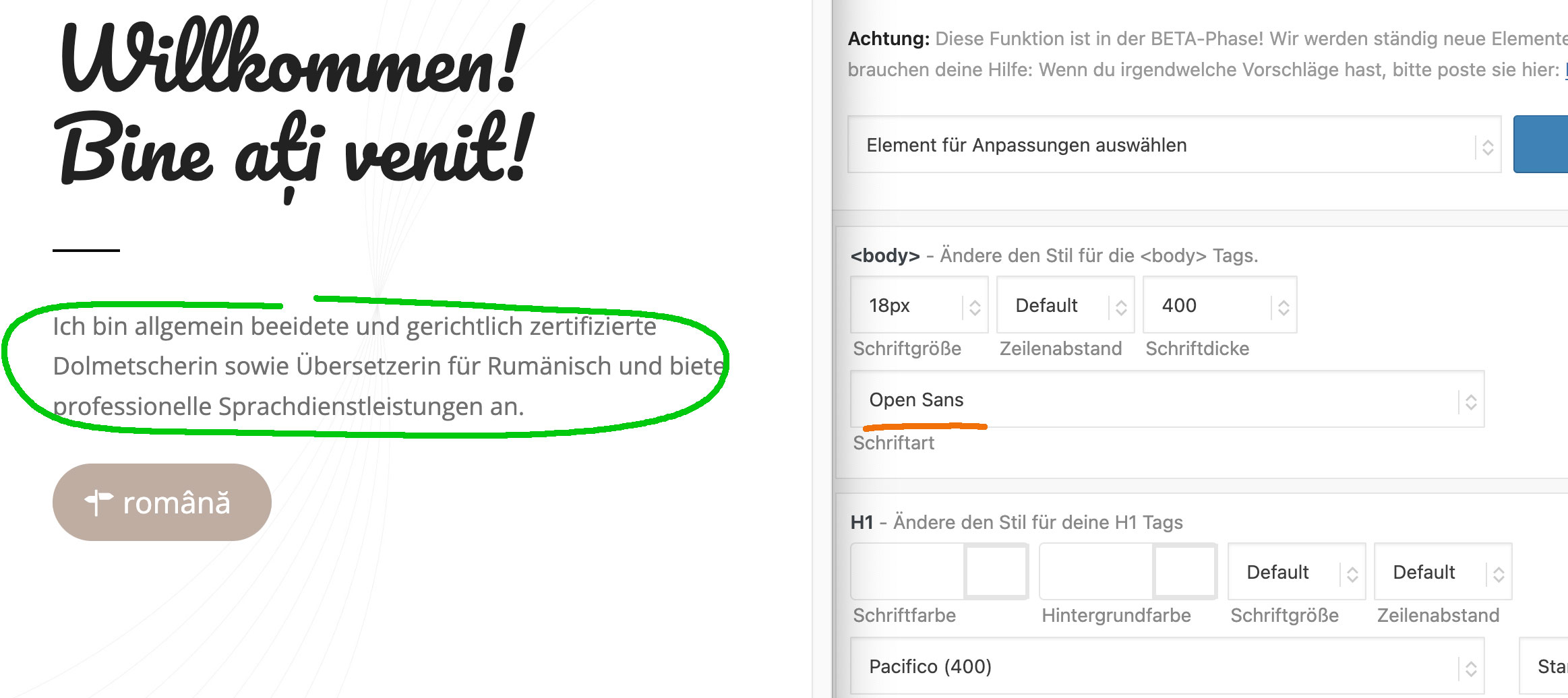 Font ok, but Google online font